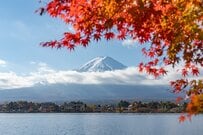 第104代内閣総理大臣誕生！高市新総理が掲げる「給付付き税額控除」とは？わかりやすく解説します！