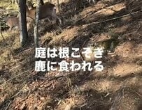 【山小屋暮らし】理想通りじゃない「鹿もネズミも出る」53歳から始めた標高1400mの二拠点生活。「理想と現実」を笑って楽しむ女性が伝える、「今しかない時間」を大切にする生き方