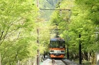 【京都・叡山電車】追加料金なし！GWは運賃だけで乗れる絶景「青もみじのトンネル」へ