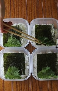 【タッパー弁当】ご飯が進む！みそカツをどーんと詰めた4人分の「ボリューム弁当」話題