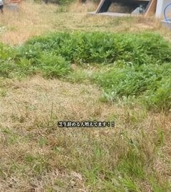 【草刈り】芝生で埋め尽くされた〈庭〉が…　プロの技でスッキリ広々とした更地に…「気持ちのいいお仕事」