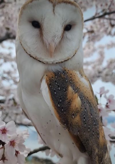 投稿動画のワンシーン