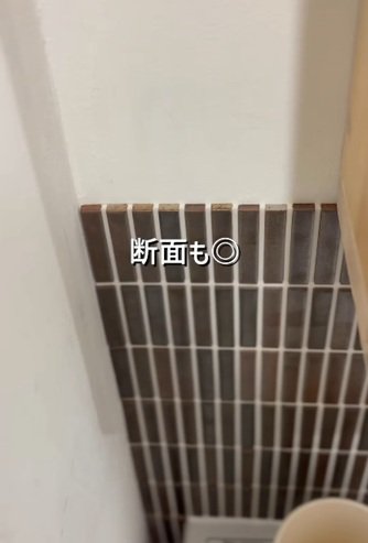 投稿動画のワンシーン