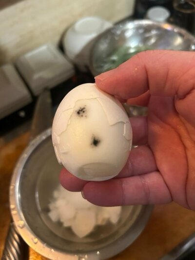 投稿の画像