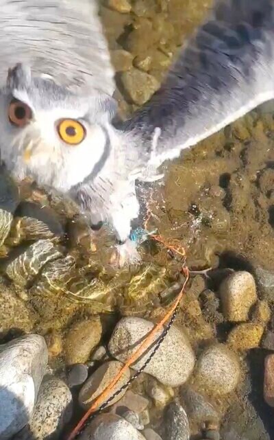 投稿写真