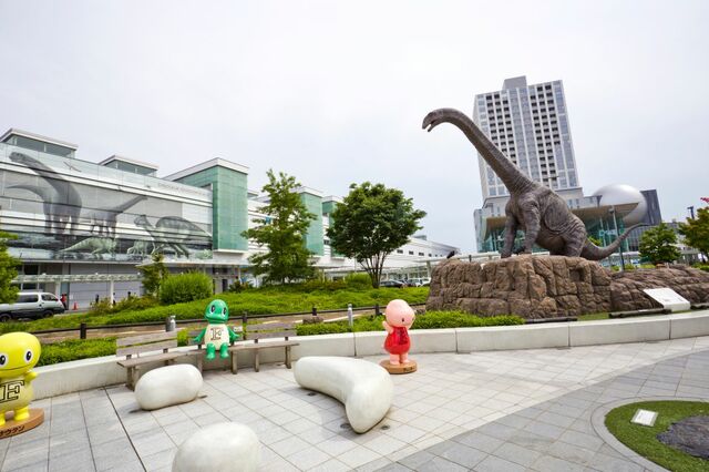 福井県で旅行中に発見した「標識」　奇数月だけの珍しい表記に「教習所でも習いました」
