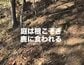【山小屋暮らし】理想通りじゃない「鹿もネズミも出る」53歳から始めた標高1400mの二拠点生活。「理想と現実」を笑って楽しむ女性が伝える、「今しかない時間」を大切にする生き方