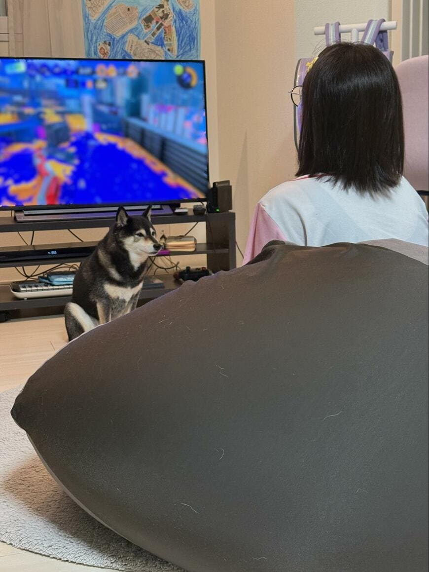 出所：@shibainu_hanazu