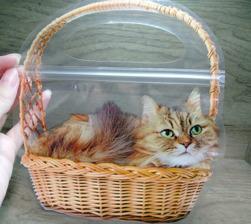 筆者撮影（セリア、持ち手付ギフトバッグ3P 猫）