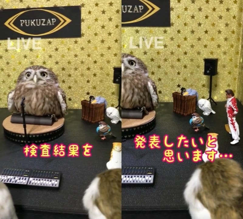 出所：@cr8673.hiro