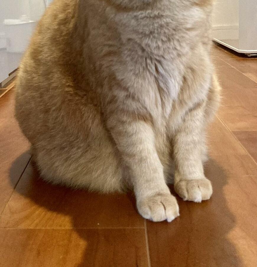 出所：@kagisuzu0531