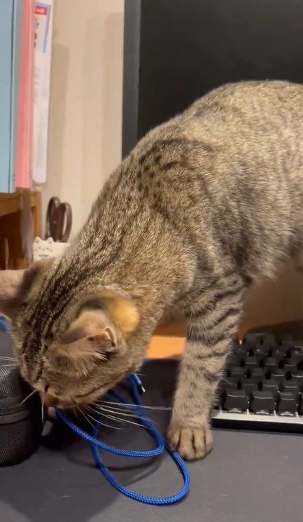 出所：@kagisuzu0531