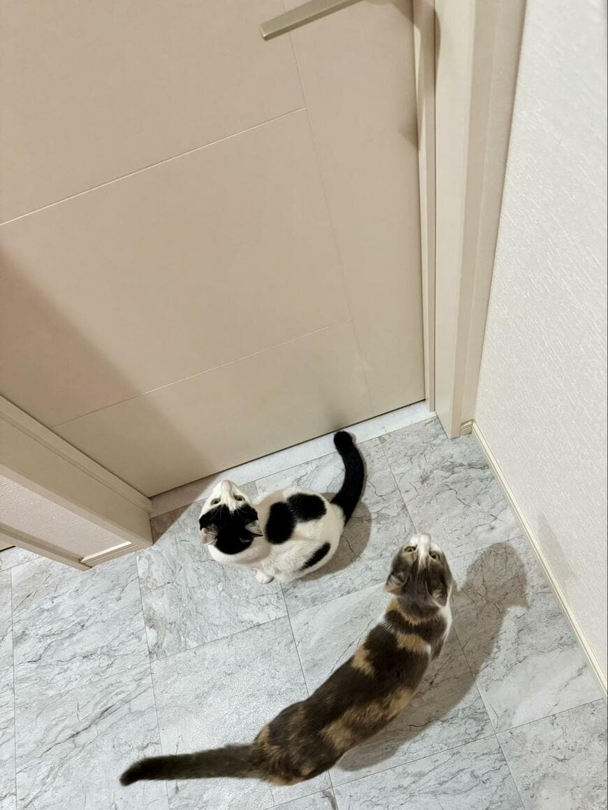 出所：@omochi_nam01