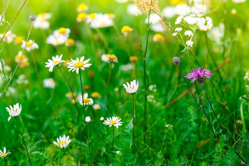 xomato/istockphoto.com 