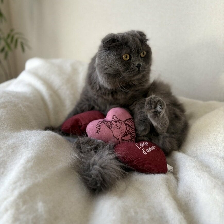 出所：アフタヌーンティー公式　Cat's NapTime