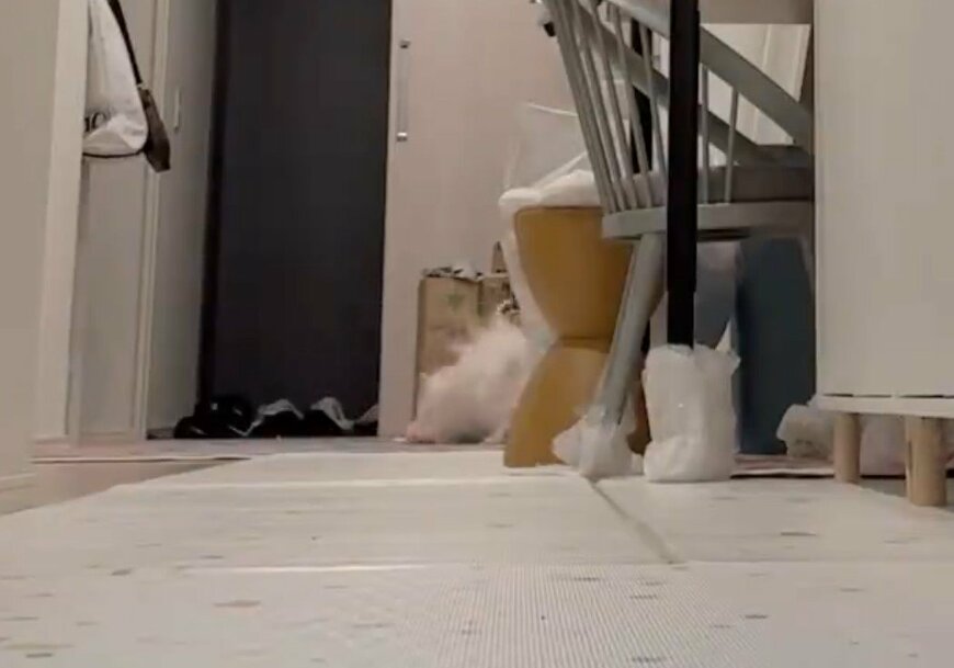 出所：@kawai_nu_san