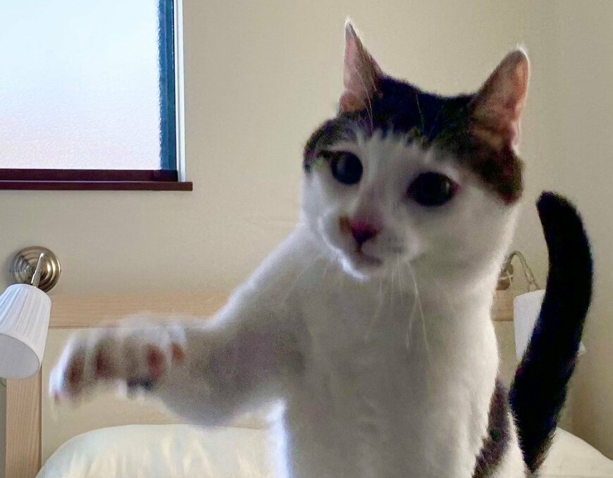 出所：@Saeroyi_cat