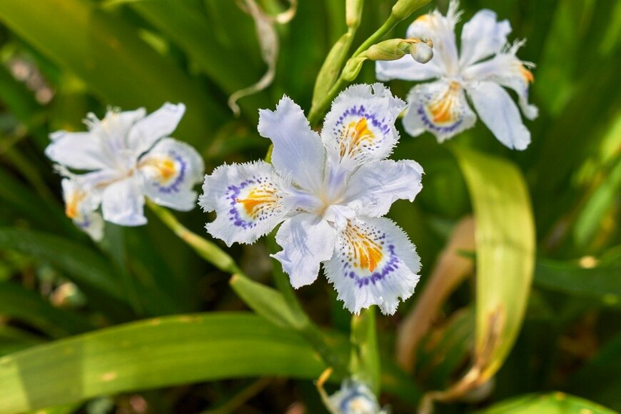 seven75/istockphoto.com