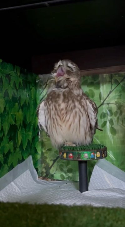 出所：@cr8673.hiro