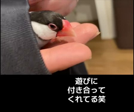 出所：@buntyo_suehiro