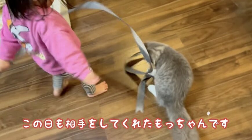 まるで「モップ猫」！？長いリボンとじゃれ合う猫ちゃんの遊び方がダイナミックすぎました