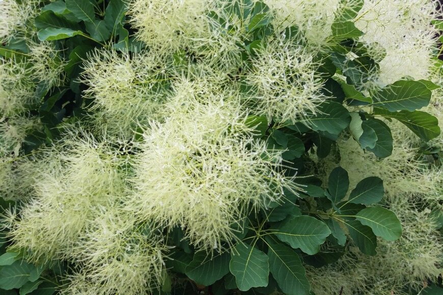 Nadya So/istockphoto.com