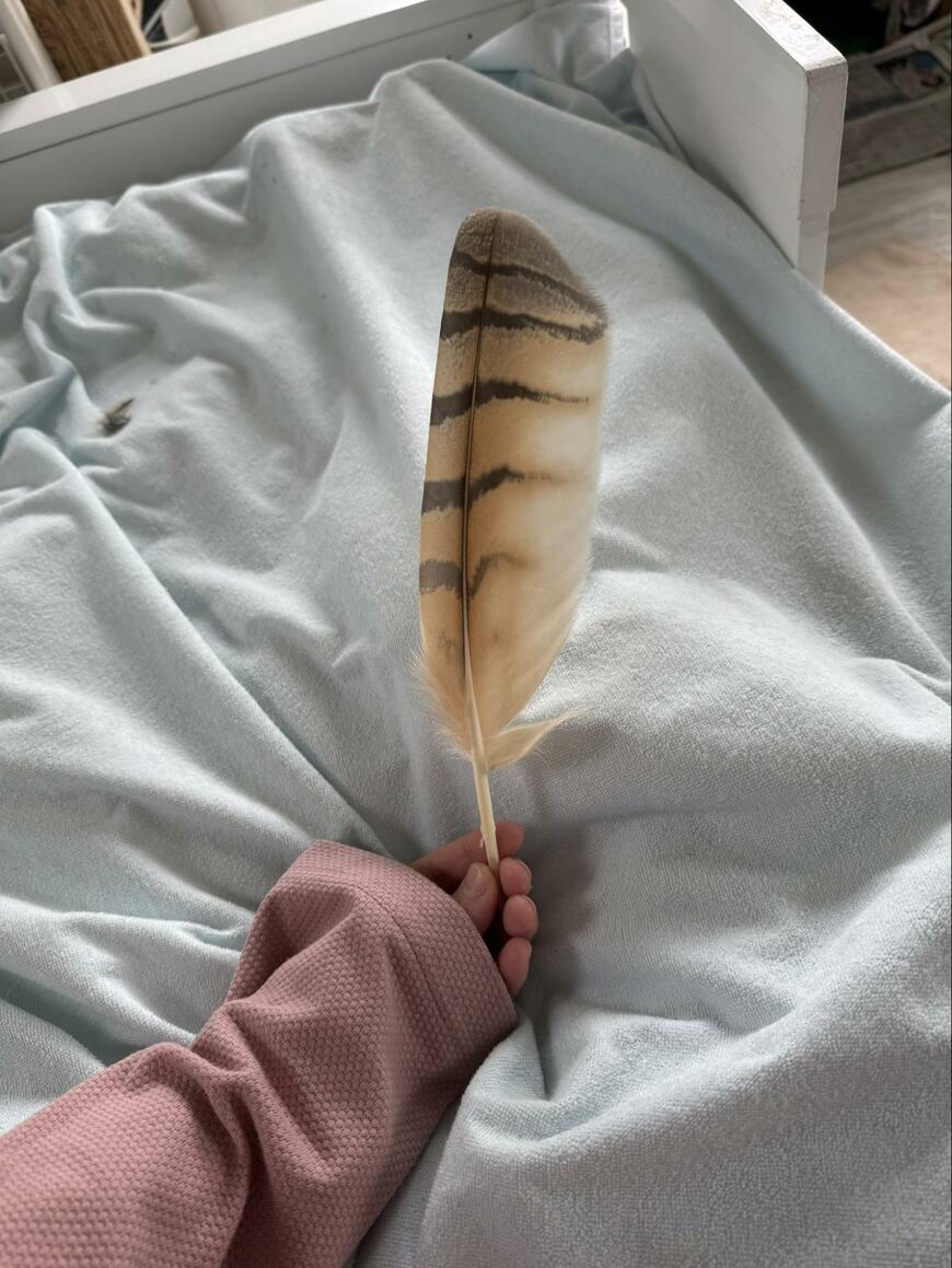 出所：@sibiricuslemon