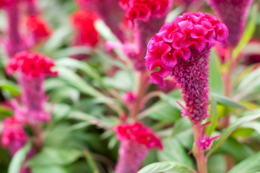 tapanuth/istockphoto.com