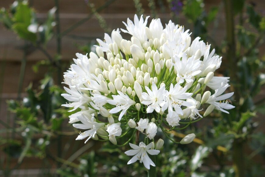 MargaretAnne/istockphoto.com