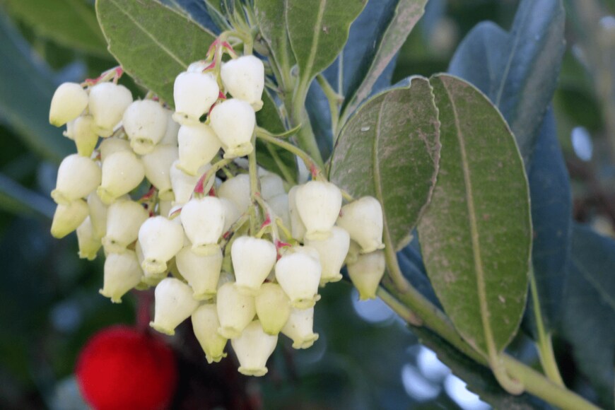 Gurcharan Singh/shutterstock.com