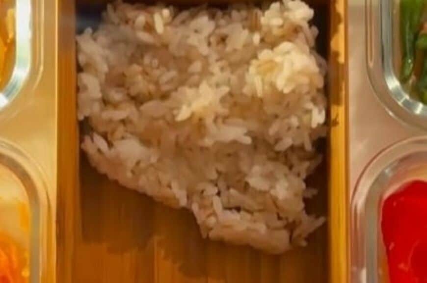 母が娘に作る「愛情たっぷり弁当」　食欲そそる「レンコン挟み焼き弁当」がおいしそう…