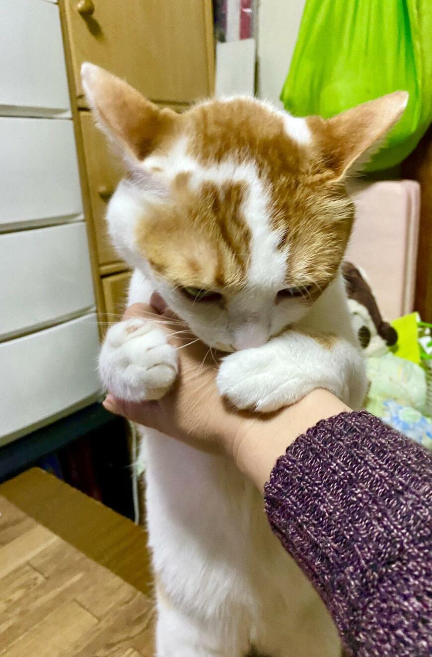 出所：@luna7taka9