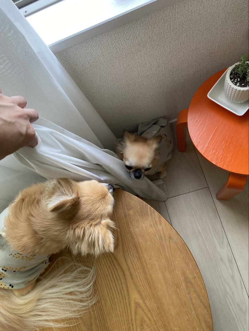 出所：@komichi0310