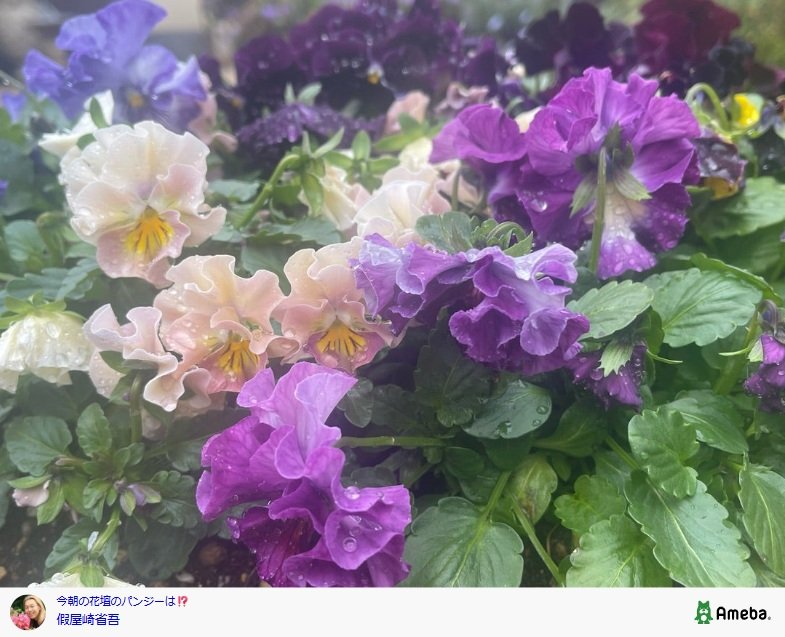 出所：假屋崎省吾の公式ブログ　参照日：2025年12月16日