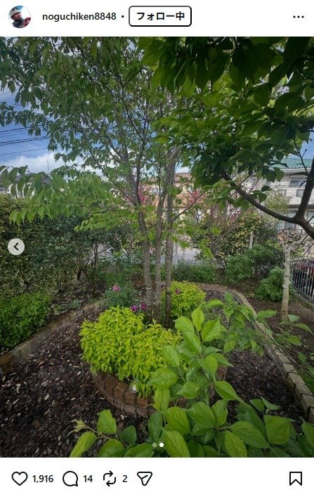 出所：野口健のInstagram（＠noguchiken8848）　参照日：2026年4月16日
