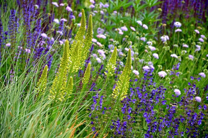 Beekeepx/Shutterstock.com