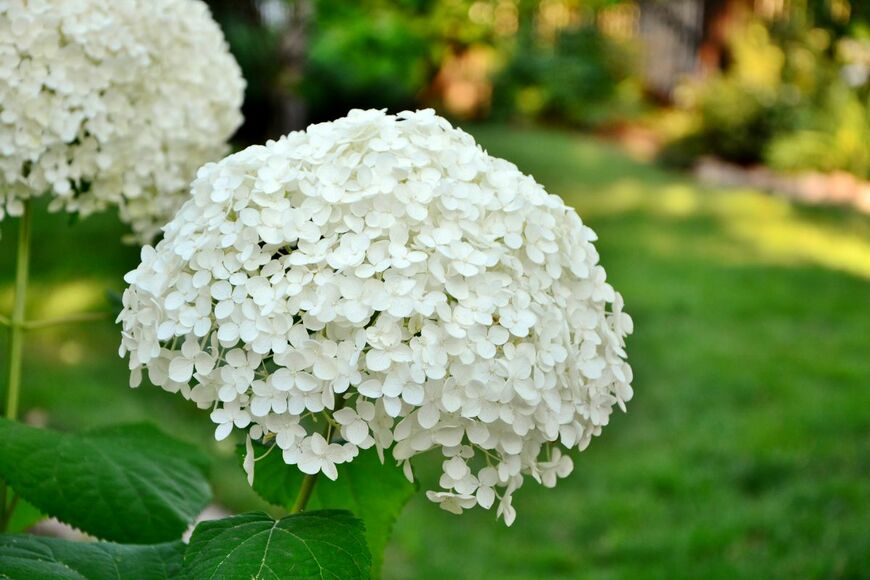 Bankiras/shutterstock.com