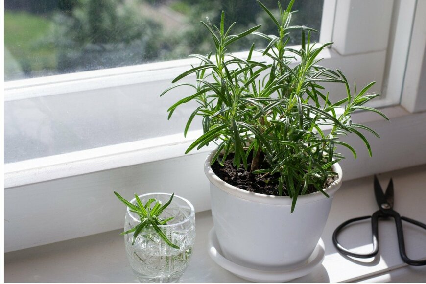 Albina Yalunina/istockphoto.com