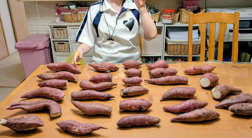 29本ものサツマイモ