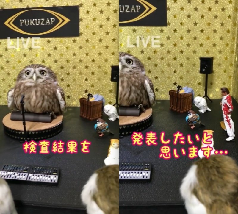 投稿動画のワンシーン