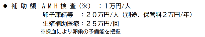 大阪府：卵子凍結の補助について