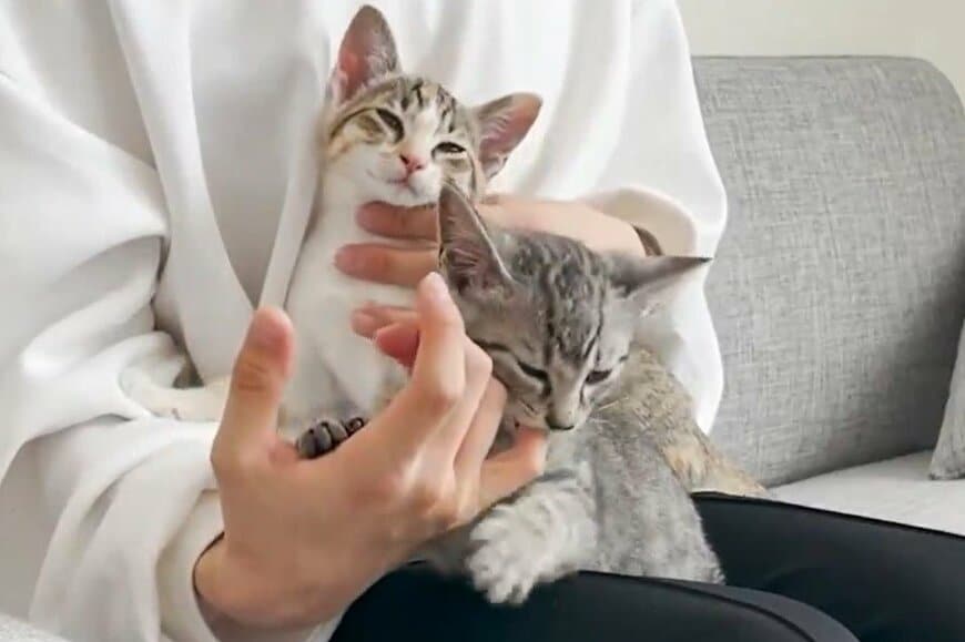 心底幸せそうにする2匹