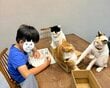 宿題をする男の子の前に猫が集合　保護猫の顔をよく見ると…まさかの様子に笑ってしまう