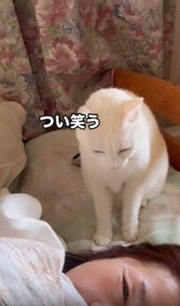 ママを起こしたい元保護猫さん　あまりに優しい「起こし方」に悶絶の声