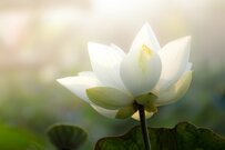 国民年金と厚生年金、本当は平均いくらか。退職の季節に考えたい年金のこと