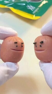 【眉毛ソーセー人弁当】高校生男子に作る おにぎり用のワカメを使ったソーセージのアレンジがかわいいと話題