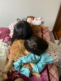 「2歳児と4歳児のルーティン」に追加されたコトが話題　猫との様子に1万いいね