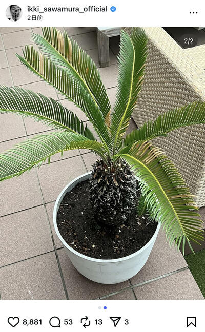 沢村一樹のInstagram投稿