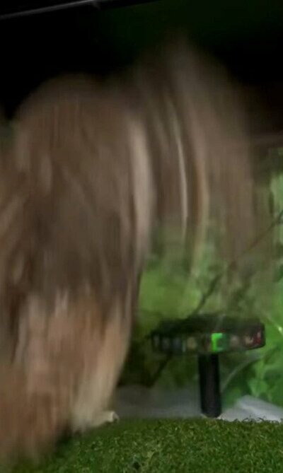 投稿動画のワンシーン