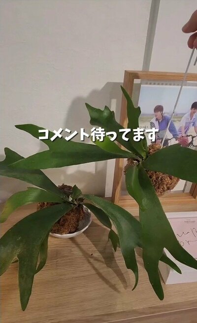 変身後の推し活部屋